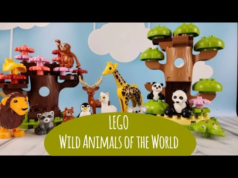 LEGO WILD ANIMAL REVIEW☑️ |🔝Detailed tutorial | LEGO WILDLIFE ANIMALS OF THE WORLD🔥Toys for children – Animals