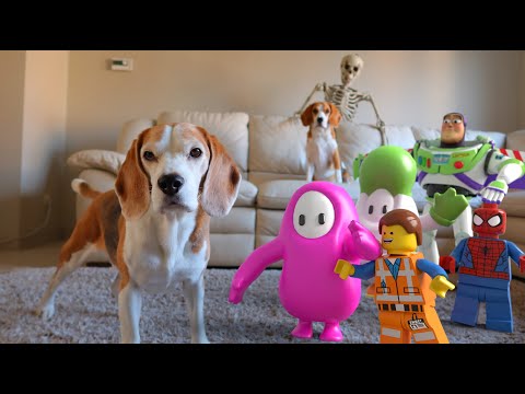 Funny Dogs vs Real Life Animations – Dogs