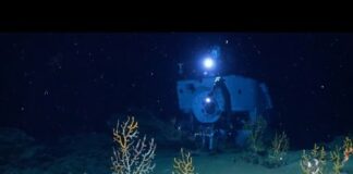 The Alvin Submarine Part 2: Incredible Views On-Board the Deep-Sea Vessel​ – Ocean