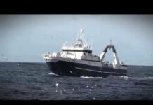 South African Deep Sea Trawl Fishery and MSC – Ocean