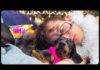Christmas hangover! Cute & funny dachshund dog video! – Dogs