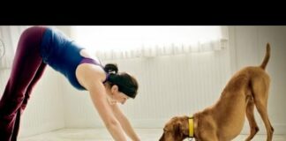 Funny Cats And Dogs Helping Their Owners Exercise [BEST OF] – Cats