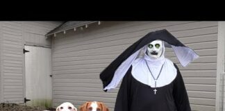 Dogs vs THE NUN Prank: Can These Funny Dogs Stop Devil Nun Valak? – Dogs