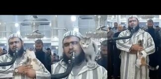 For the love of cat: Imam and cat video goes viral on social media – Cats