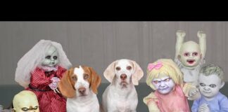 Dog vs Little Zombies Apocalypse! Funny Dogs Maymo & Potpie Open Zombie Kids Daycare – Dogs