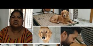 PeaNut ne meri jagah le li #dog | Funny dog video – Dogs