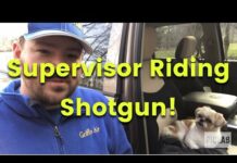 Funny Dog Video – Supervisor Riding Shotgun – Shih Tzu Supervisor Buck – Dogs